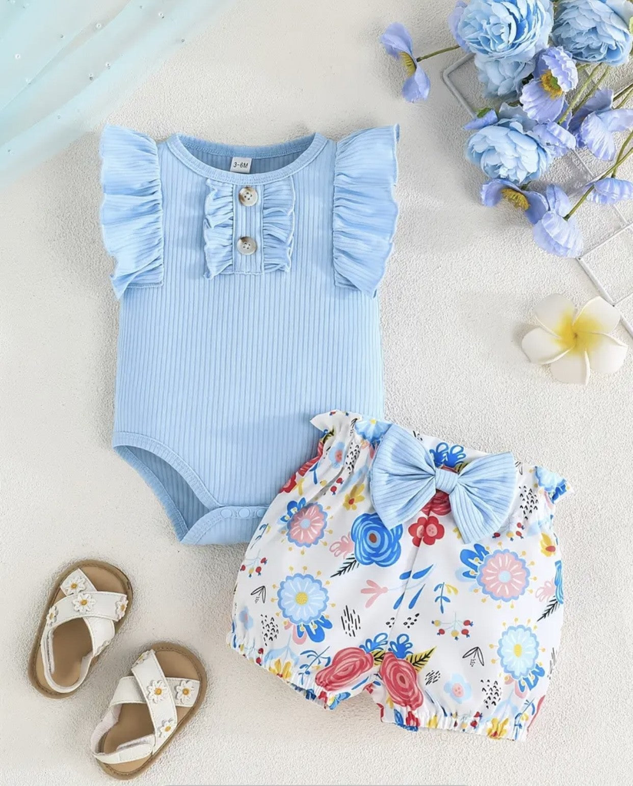Short Marguerite